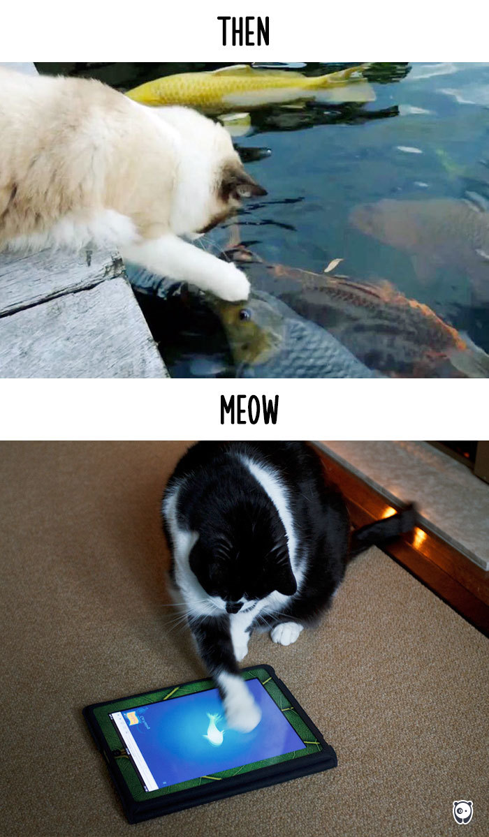 cats-then-now-funny-technology-change-life-22-5716355ec13d5__700