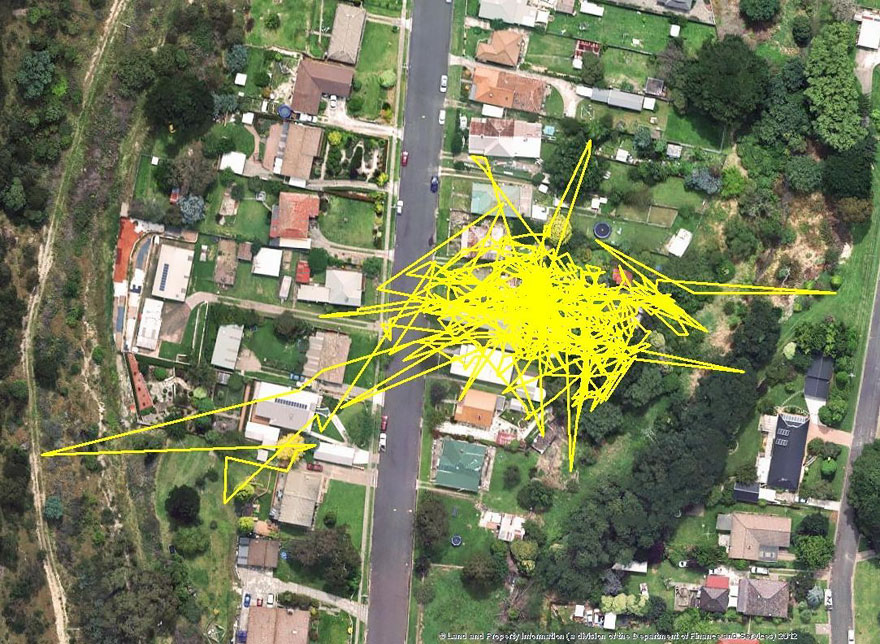 gps-tracker-cat-movement-map-lithgow-central-tablelands-local-land-services-8
